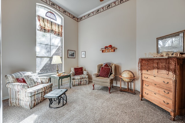 living area featuring crown molding and carpet flooring