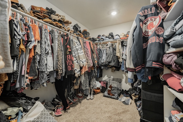 spacious closet with carpet