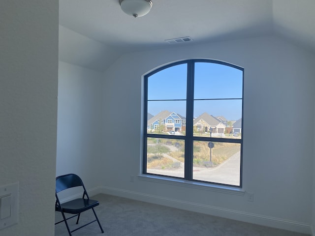 additional living space with carpet and vaulted ceiling