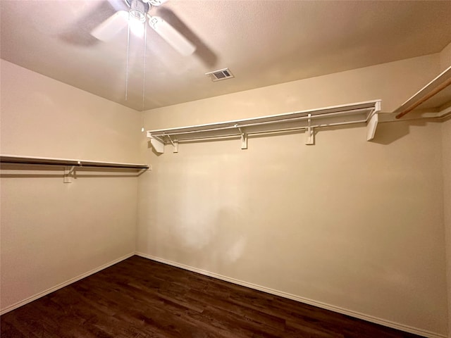 spacious closet featuring ceiling fan and dark hardwood / wood-style flooring