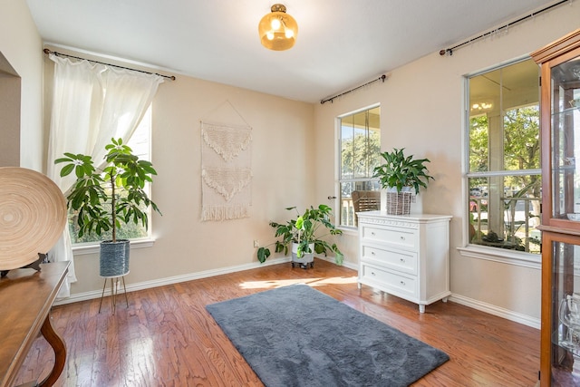 living area with hardwood / wood-style flooring and a healthy amount of sunlight