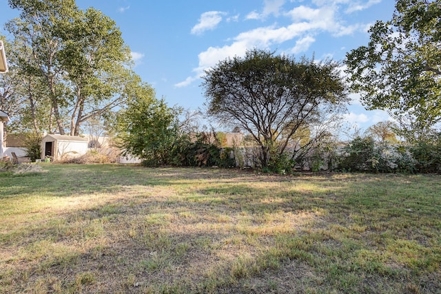 view of yard with a storage unit