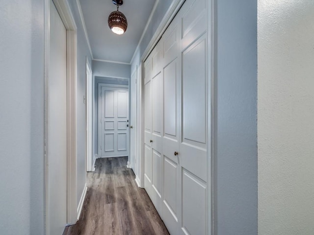 hallway with dark wood-type flooring