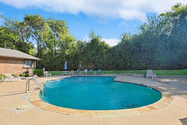 view of pool featuring a patio