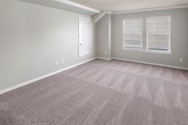 spare room with crown molding and carpet