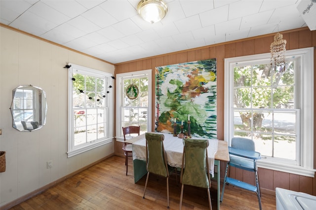 dining area with light hardwood / wood-style flooring, a healthy amount of sunlight, and wood walls