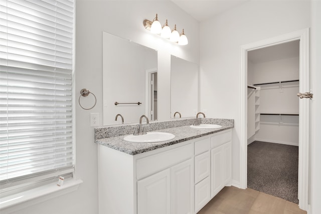 bathroom with vanity