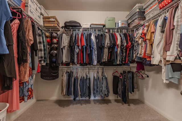 walk in closet with carpet floors