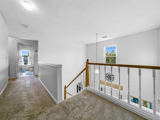 corridor with a wealth of natural light, a textured ceiling, and carpet floors