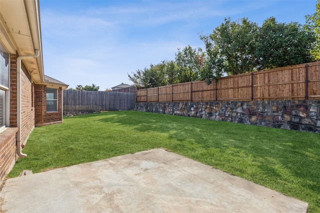 view of yard featuring a patio