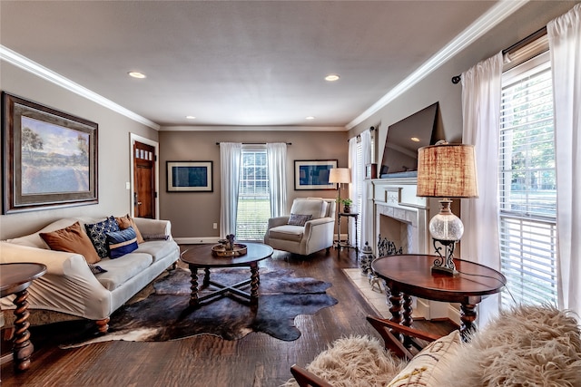 living room featuring ornamental molding, a fireplace, and dark hardwood / wood-style flooring