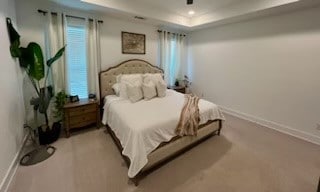 bedroom with a raised ceiling