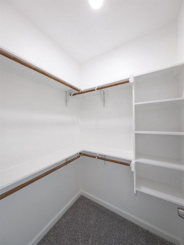 spacious closet featuring carpet floors