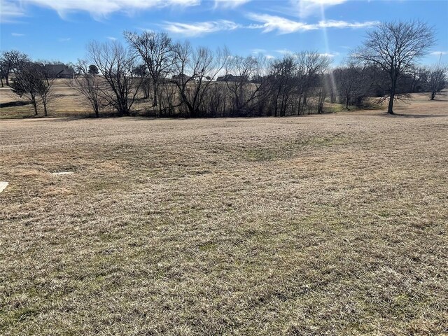 Listing photo 3 for 822 Pronghorn Dr, Gordonville TX 76245