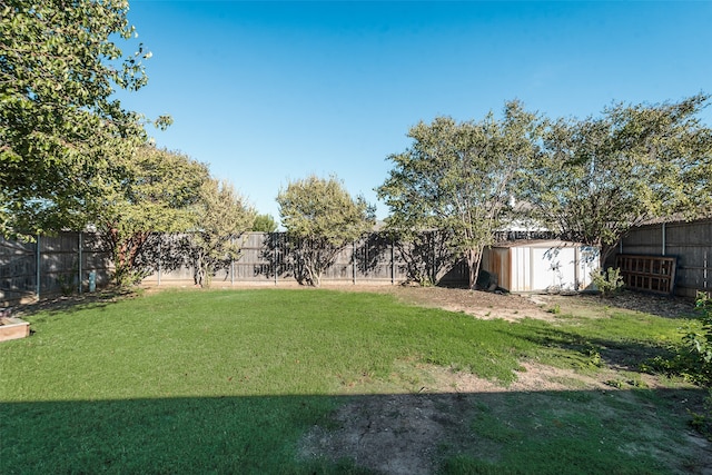 view of yard with a storage shed