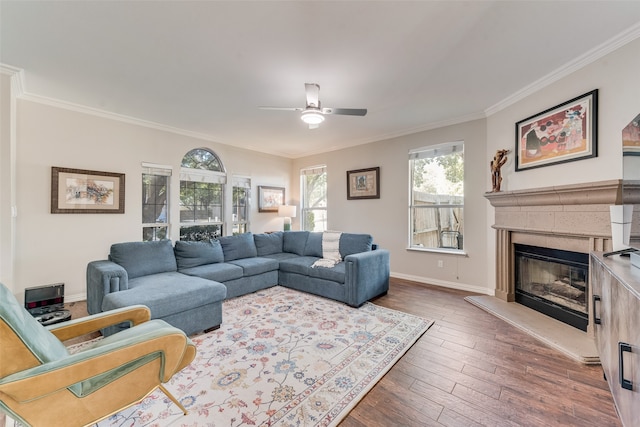 living room with dark wood-type flooring, ceiling fan, and ornamental molding