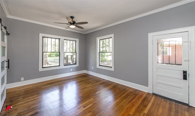 entryway with ornamental molding, a barn door, dark wood-type flooring, and ceiling fan