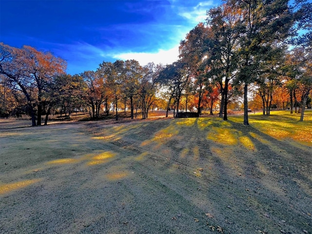 320 Rivercrest Dr, Nocona TX, 76255 land for sale