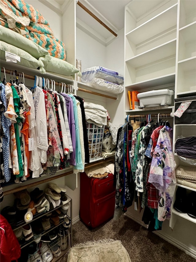 walk in closet with carpet floors