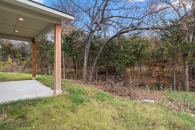 view of yard featuring a patio area