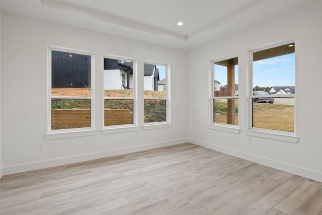 empty room with a raised ceiling and light hardwood / wood-style flooring