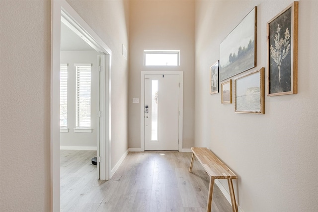 foyer entrance with light hardwood / wood-style floors