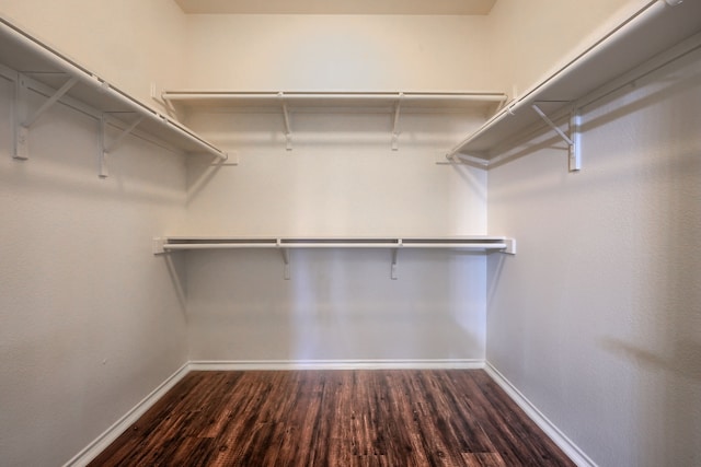 walk in closet with dark hardwood / wood-style flooring