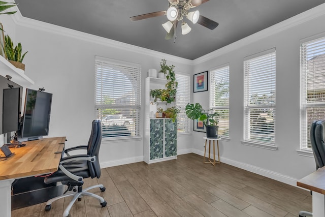 home office with light wood-type flooring, ceiling fan, and ornamental molding