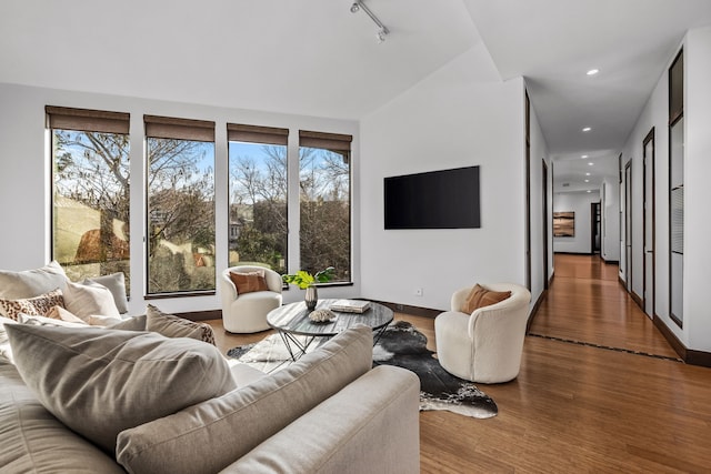 hall with light hardwood / wood-style floors, plenty of natural light, and vaulted ceiling