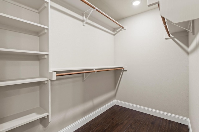 walk in closet featuring wood-type flooring