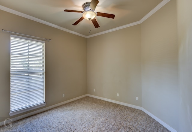 unfurnished room featuring crown molding, light carpet, and ceiling fan