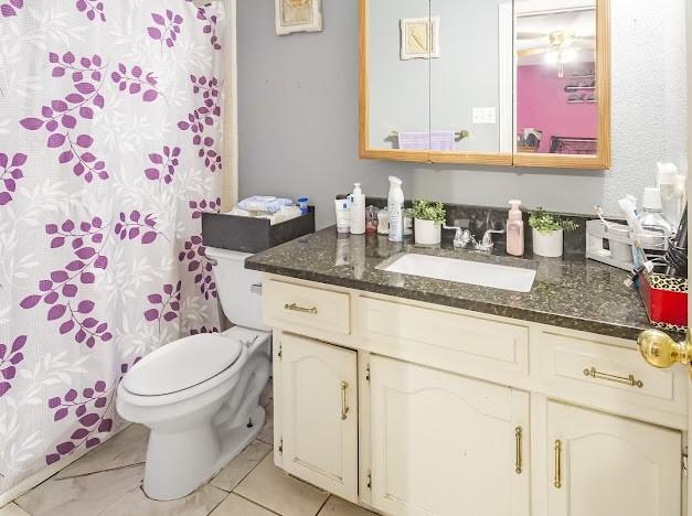 full bathroom featuring toilet, vanity, and a shower with shower curtain