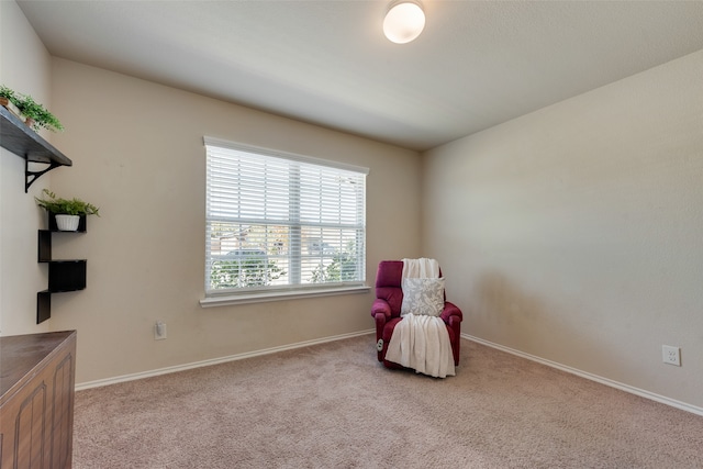 sitting room with light carpet