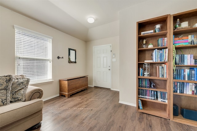 living area with lofted ceiling and wood-type flooring