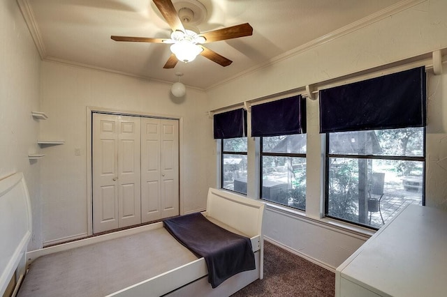 6040A Casey Ct, Fort Worth, TX 76140 - living area featuring a ceiling fan, carpet, and ornamental molding