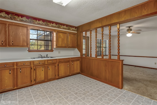 kitchen featuring sink, light colored carpet, a textured ceiling, and ceiling fan