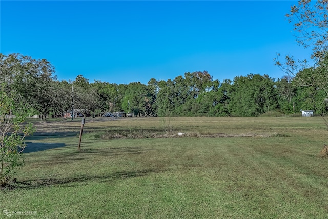 view of yard with a rural view