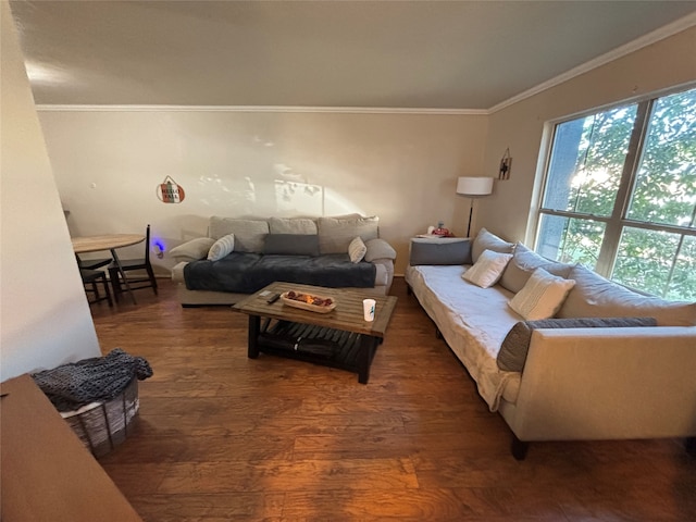 living room featuring dark wood-type flooring and crown molding