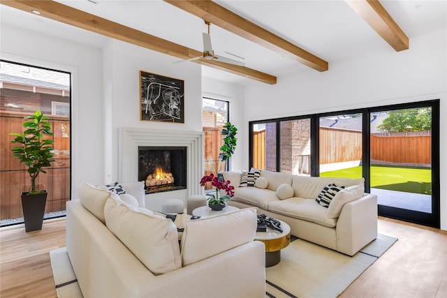 living room featuring beam ceiling, ceiling fan, and light hardwood / wood-style flooring