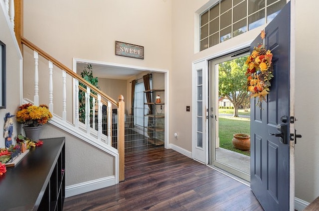 foyer entrance featuring dark wood-type flooring