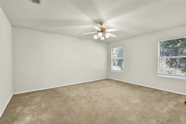 spare room featuring a textured ceiling, carpet flooring, and a wealth of natural light