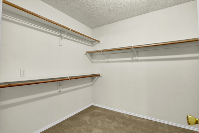 walk in closet with dark colored carpet