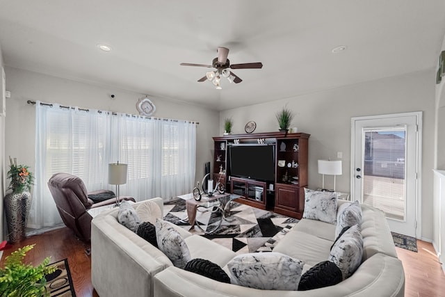 living room with ceiling fan and dark hardwood / wood-style flooring