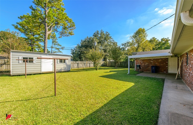 view of yard with a patio and a shed