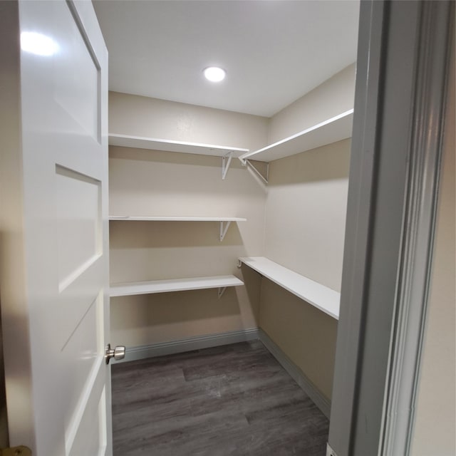 spacious closet featuring dark hardwood / wood-style floors