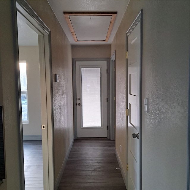 corridor featuring dark wood-type flooring