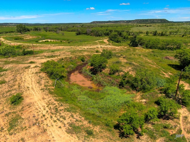 Listing photo 3 for TBD County Rd 196, Ovalo TX 79541