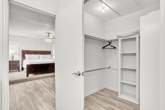 walk in closet featuring ceiling fan and light hardwood / wood-style flooring