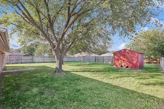 view of yard featuring a storage shed