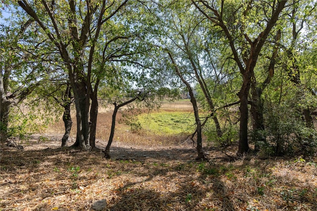 view of nature